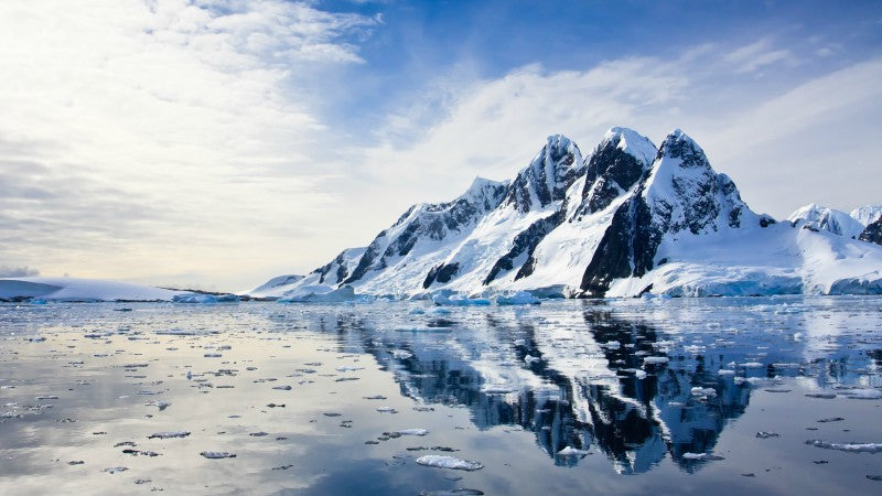 4 Reasons why the Arctic is key to our planet’s survival